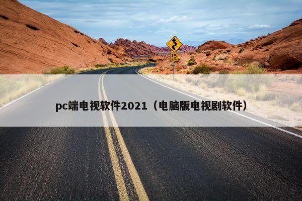 pc端电视软件2021（电脑版电视剧软件）