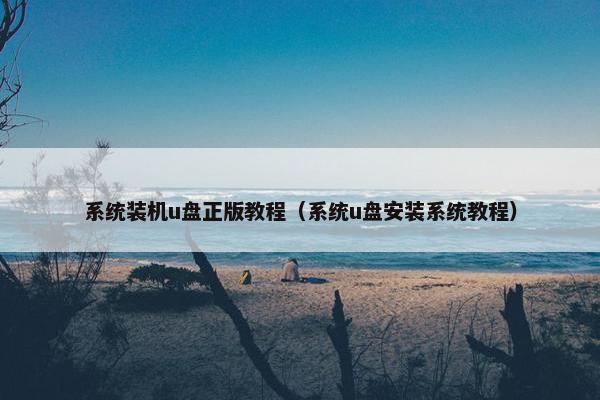 系统装机u盘正版教程（系统u盘安装系统教程）