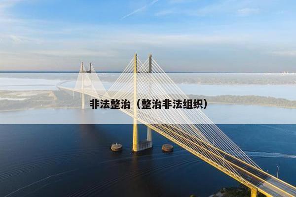 非法整治（整治非法组织）