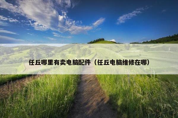 任丘哪里有卖电脑配件（任丘电脑维修在哪）