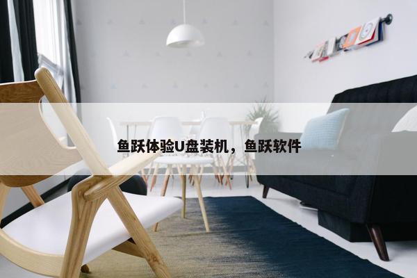 鱼跃体验U盘装机，鱼跃软件