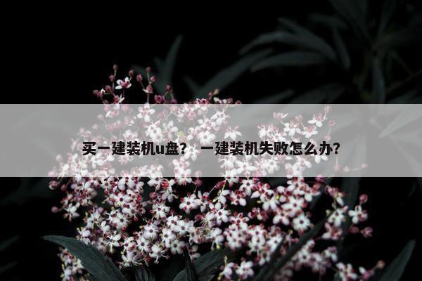 买一建装机u盘？ 一建装机失败怎么办？