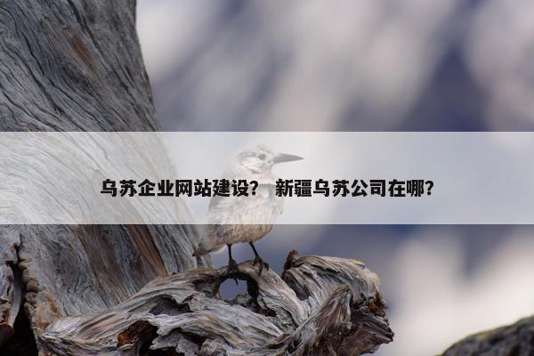 乌苏企业网站建设？ 新疆乌苏公司在哪？