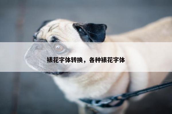 裱花字体转换，各种裱花字体