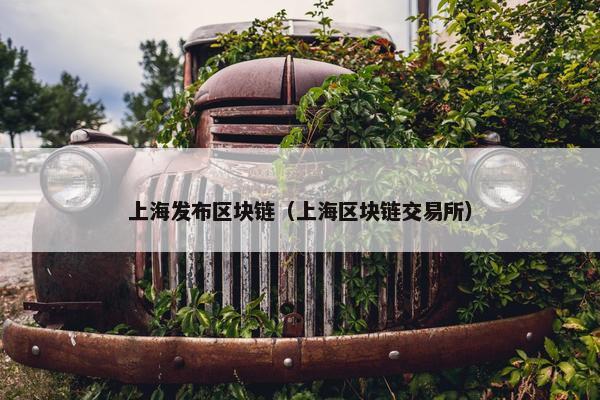上海发布区块链（上海区块链交易所）