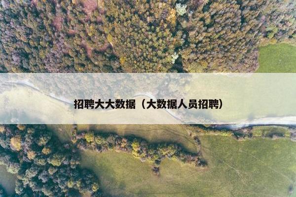 招聘大大数据（大数据人员招聘）
