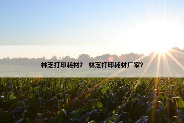 林芝打印耗材？ 林芝打印耗材厂家？
