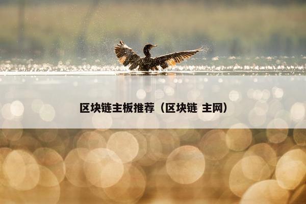 区块链主板推荐（区块链 主网）