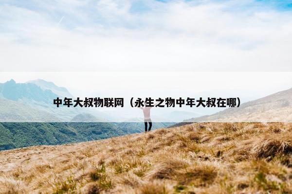 中年大叔物联网（永生之物中年大叔在哪）