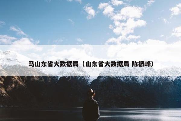 马山东省大数据局（山东省大数据局 陈振峰）