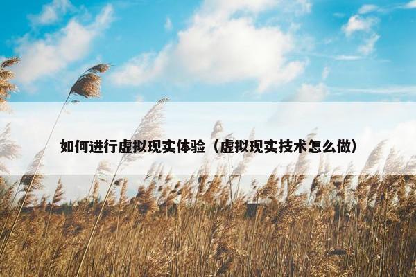 如何进行虚拟现实体验（虚拟现实技术怎么做）