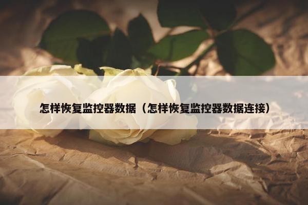 怎样恢复监控器数据（怎样恢复监控器数据连接）