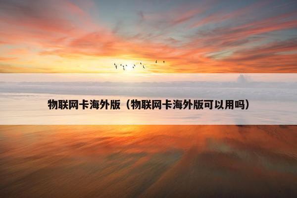物联网卡海外版（物联网卡海外版可以用吗）
