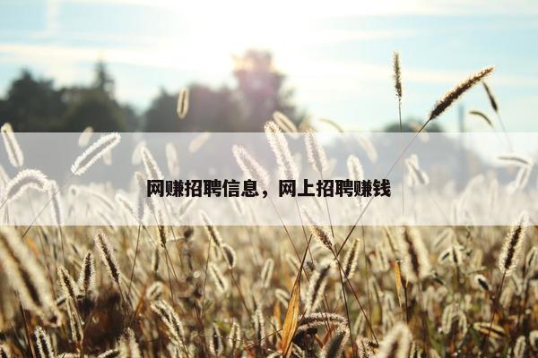 网赚招聘信息，网上招聘赚钱