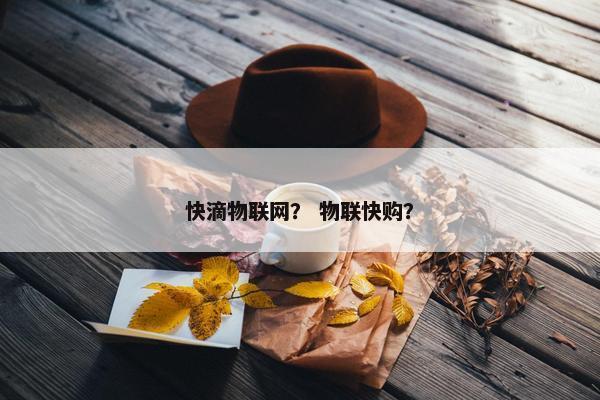 快滴物联网？ 物联快购？