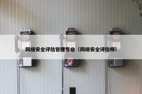 网络安全评估管理专业（网络安全评估师）