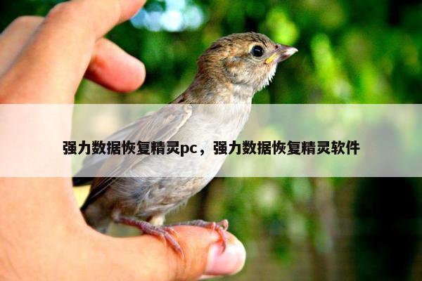 强力数据恢复精灵pc，强力数据恢复精灵软件