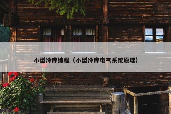 小型冷库编程（小型冷库电气系统原理）