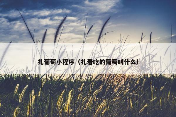 扎葡萄小程序（扎着吃的葡萄叫什么）