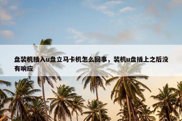 盘装机插入u盘立马卡机怎么回事，装机u盘插上之后没有响应