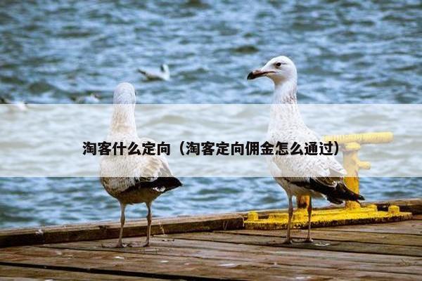 淘客什么定向（淘客定向佣金怎么通过）