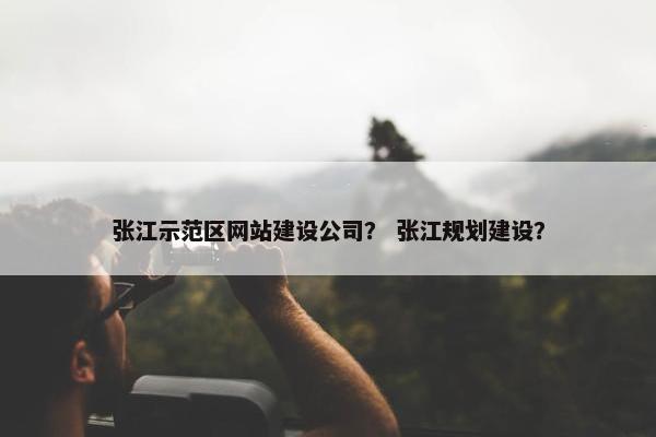 张江示范区网站建设公司？ 张江规划建设？