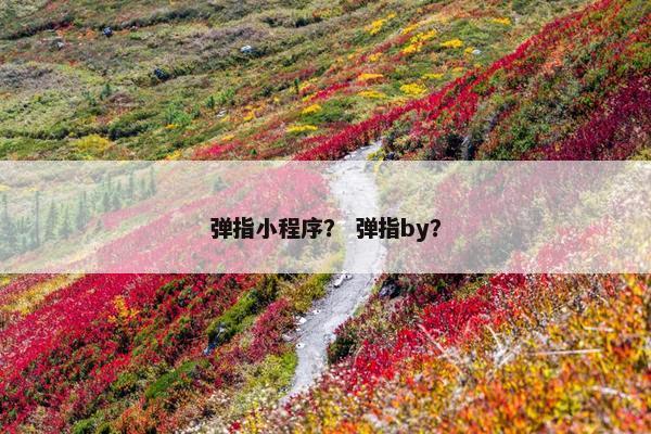 弹指小程序？ 弹指by？