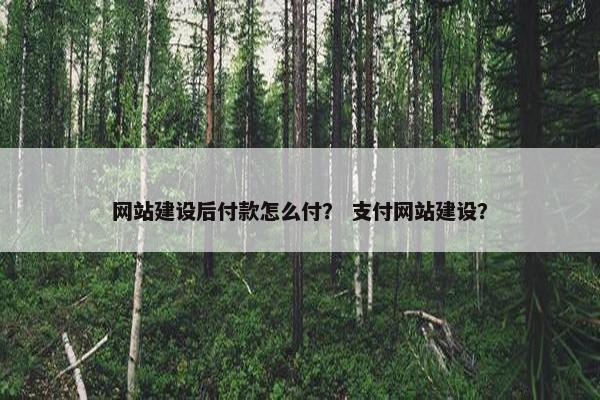 网站建设后付款怎么付？ 支付网站建设？