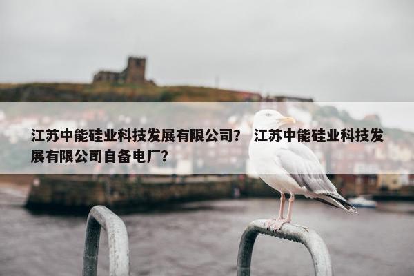 江苏中能硅业科技发展有限公司？ 江苏中能硅业科技发展有限公司自备电厂？