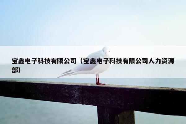 宝鑫电子科技有限公司（宝鑫电子科技有限公司人力资源部）