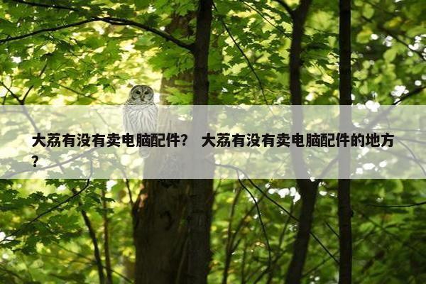 大荔有没有卖电脑配件？ 大荔有没有卖电脑配件的地方？