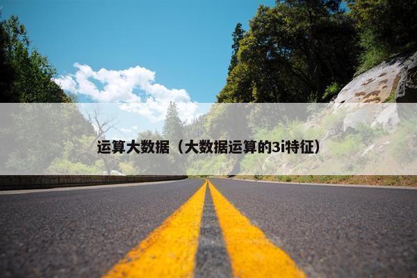 运算大数据（大数据运算的3i特征）