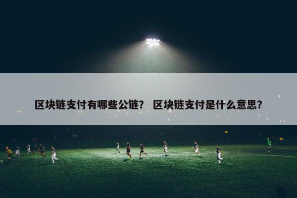 区块链支付有哪些公链？ 区块链支付是什么意思？