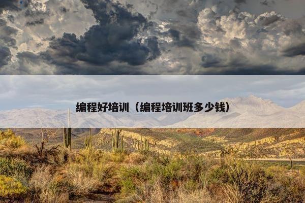 编程好培训（编程培训班多少钱）