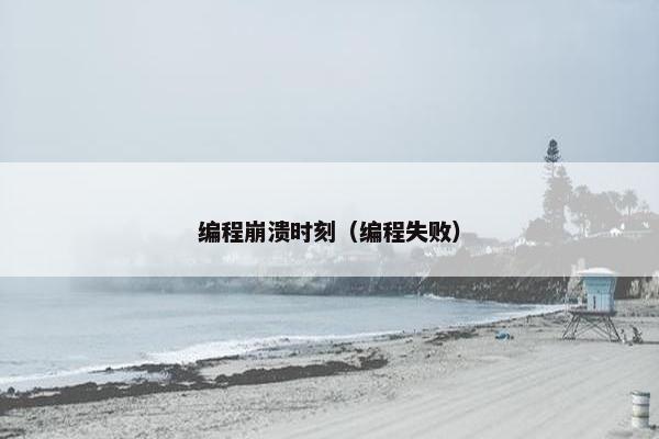 编程崩溃时刻（编程失败）