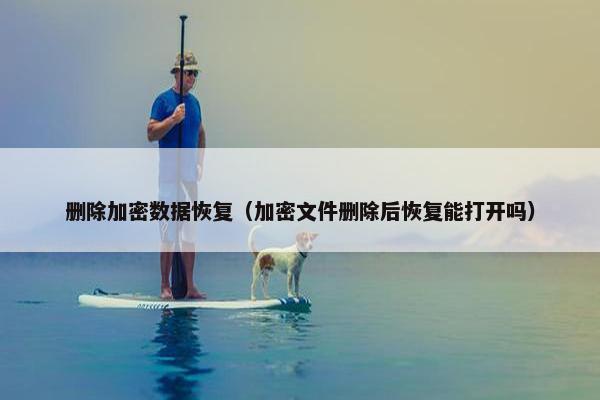 删除加密数据恢复（加密文件删除后恢复能打开吗）