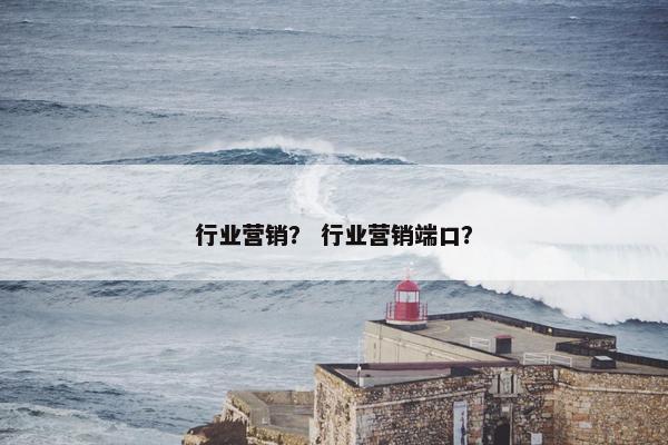 行业营销？ 行业营销端口？