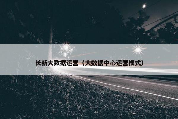 长新大数据运营（大数据中心运营模式）