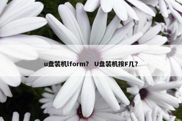 u盘装机lform？ U盘装机按F几？