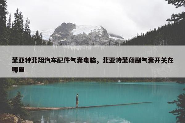 菲亚特菲翔汽车配件气囊电脑，菲亚特菲翔副气囊开关在哪里
