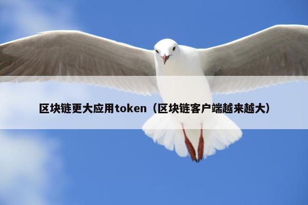 区块链更大应用token（区块链客户端越来越大）