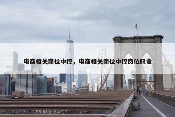 电商相关岗位中控，电商相关岗位中控岗位职责