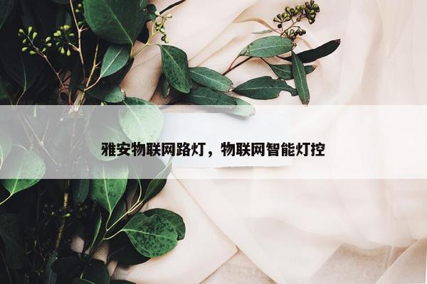 雅安物联网路灯，物联网智能灯控