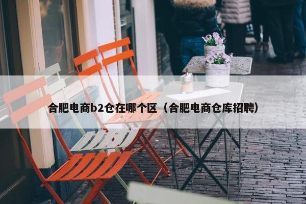 合肥电商b2仓在哪个区（合肥电商仓库招聘）