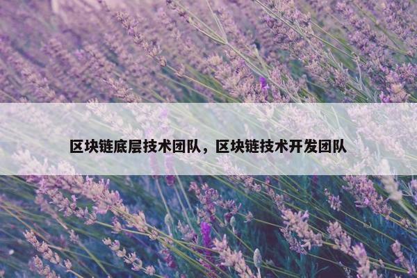区块链底层技术团队，区块链技术开发团队