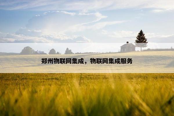 郑州物联网集成，物联网集成服务