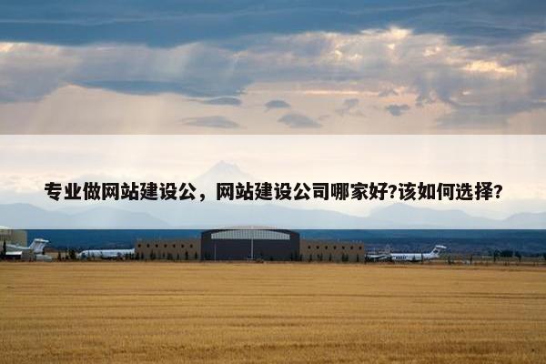 专业做网站建设公，网站建设公司哪家好?该如何选择?