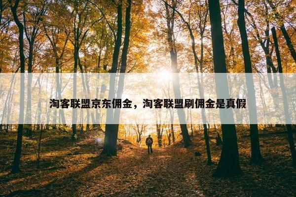 淘客联盟京东佣金，淘客联盟刷佣金是真假