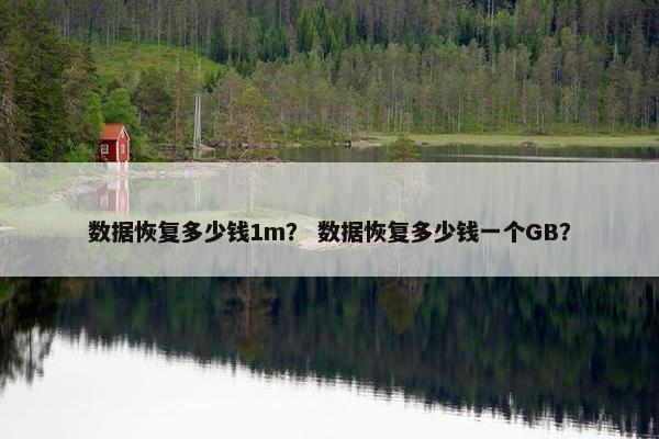 数据恢复多少钱1m？ 数据恢复多少钱一个GB？