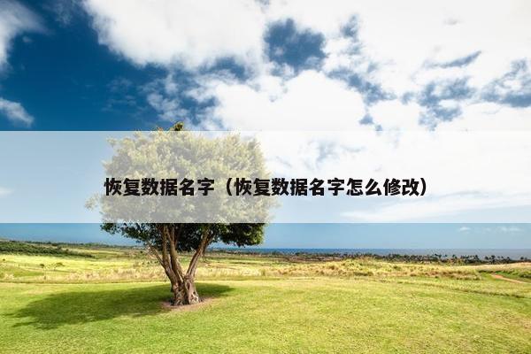 恢复数据名字（恢复数据名字怎么修改）